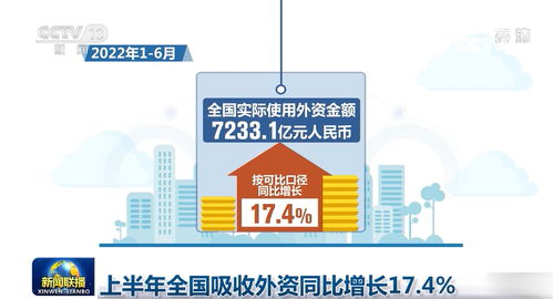 上半年全國(guó)吸收外資同比增長(zhǎng)17.4%，信息技術(shù)咨詢服務(wù)成亮點(diǎn)